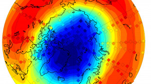 Buco dell'ozono, quest'anno &egrave; il quinto pi&ugrave; piccolo dal 1992