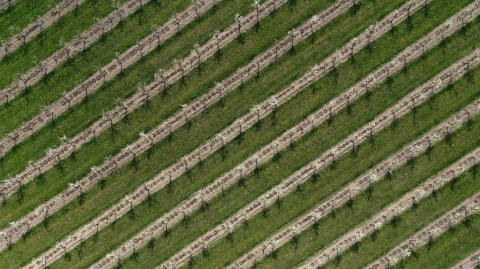 EU-Parlament beschließt Zölle auf Düngemittel aus Russland