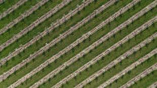 EU-Parlament beschließt Zölle auf Düngemittel aus Russland