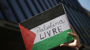 Brasil anuncia la liberación de 13 brasileños de la flotilla por Gaza