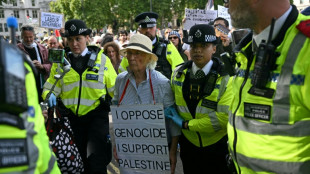 Plus de 400 arrestations à Londres à un rassemblement de soutien à Palestine Action