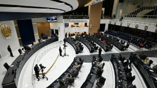 Congreso de El Salvador afín a Bukele aprueba la reelección presidencial indefinida