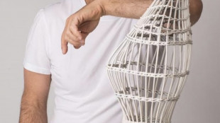 A Vittorio Camaiani il premio Marchigiano dell'Anno