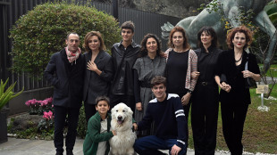 I Nastri alla Serialit&agrave;, vincono, La storia e Call my agent