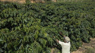 Long-awaited EU-Mercosur trade pact set for signing