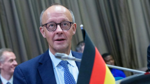 Merz: Ukraine darf nicht zu einseitigen territorialen Zugest&auml;ndnissen gezwungen werden