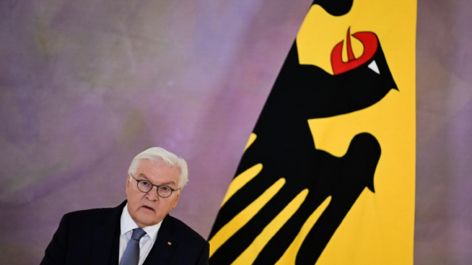 Steinmeier will mit "Ehrentag" gesellschaftliches Miteinander stärken