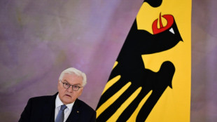 Steinmeier will mit "Ehrentag" in einem Jahr gesellschaftliches Miteinander stärken