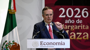 M&eacute;xico dice que la negociaci&oacute;n con EEUU para la revisi&oacute;n del T-MEC deja un "saldo positivo"