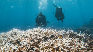 Après la Grande barrière, les coraux de l'ouest de l'Australie également dégradés par la chaleur