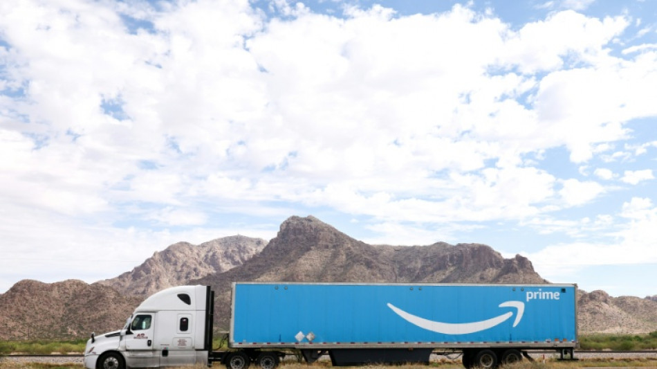 Un grupo sueco presenta una demanda contra Amazon por la venta de mu&ntilde;ecas sexuales con apariencia infantil