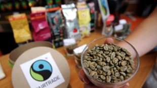Umsatz mit Fairtrade-Produkten auf Rekordhoch - auch Verkäufe gewachsen