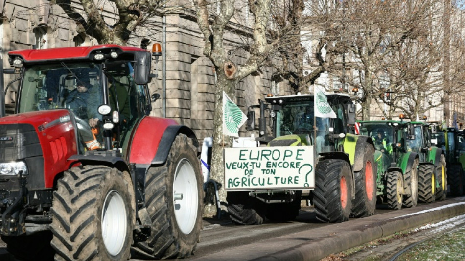 Mercosur: des milliers d'agriculteurs protestent devant le Parlement europ&eacute;en