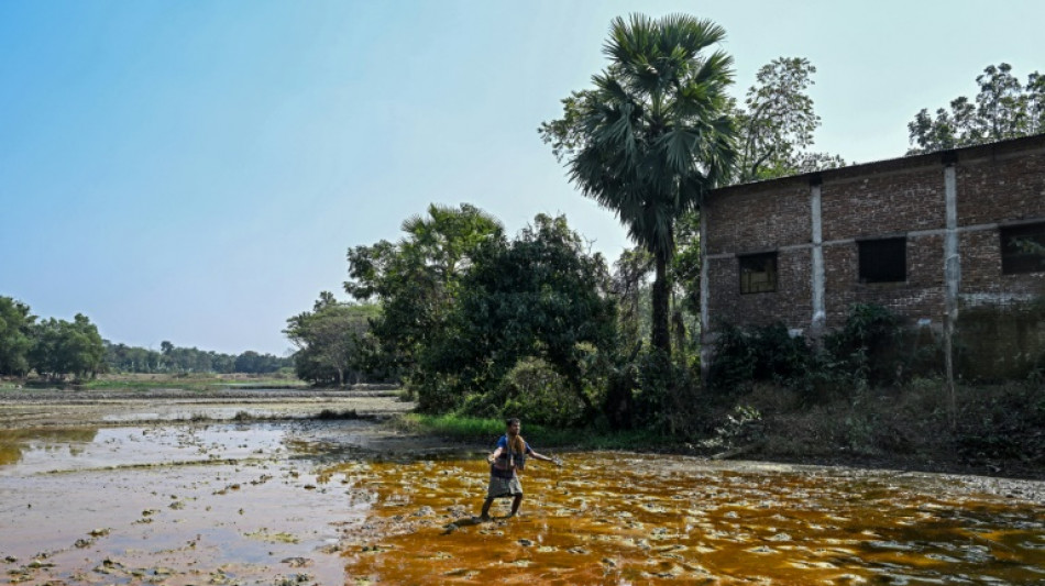 Auge das baterias provoca epidemia de intoxicação por chumbo em Bangladesh
