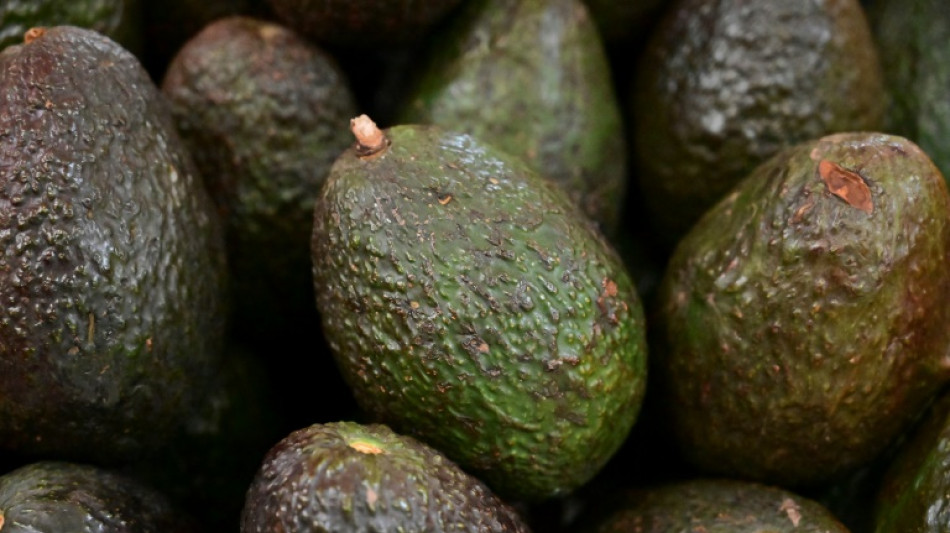 EEUU abre la puerta de nuevo a los aguacates de M&eacute;xico 