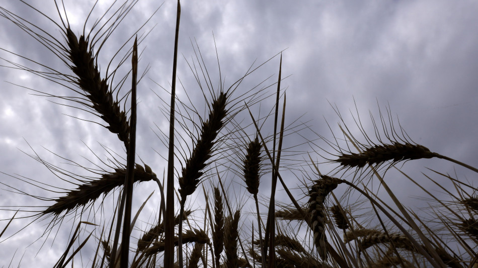 Ue verso autorizzazioni illimitate per sostanze attive pesticidi