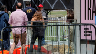 Dejan león muerto en el exterior del palacio presidencial de Chile