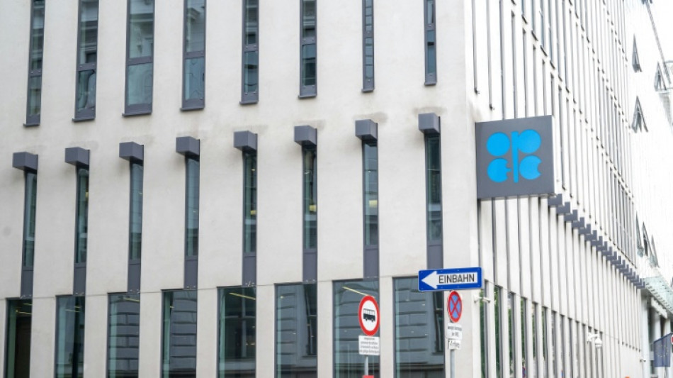 Emirados &Aacute;rabes Unidos deixar&atilde;o Opep em maio