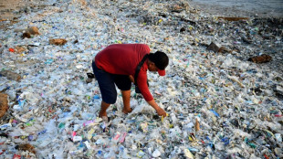 A Bali, les touristes horrifi&eacute;s par un raz-de-mar&eacute;e d'ordures