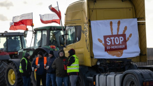 Irland will gegen Mercosur-Abkommen stimmen - dennoch Mehrheit f&uuml;r Handelsabkommen