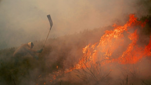 El cambio climático hizo 40 veces más probables las condiciones para los incendios en España y Portugal, según un estudio