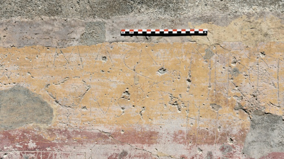 Ci&ecirc;ncia lan&ccedil;a luz sobre os grafites de Pompeia