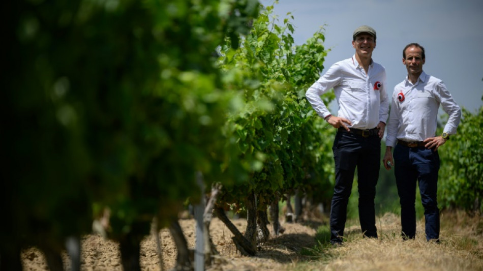 Un laboratorio en Francia desalcoholiza el vino para adaptarse al mercado
