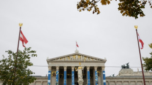 &Aacute;ustria pro&iacute;be o v&eacute;u isl&acirc;mico nas escolas para meninas menores de 14 anos