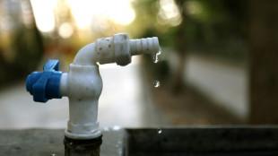 Sécheresse en Iran: les réservoirs d'eau alimentant la deuxième ville du pays presque à sec 