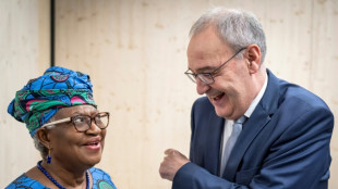 WTO chief slams rise of trade protectionism