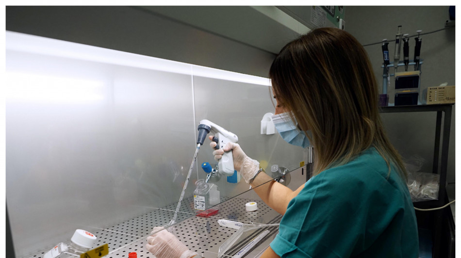 Dal disordine delle proteine una chiave per cure personalizzate