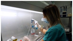 Due nemici invisibili per i soldati di Napoleone in Russia