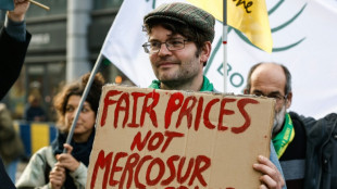 Fran&ccedil;a se mobiliza contra acordo UE-Mercosul