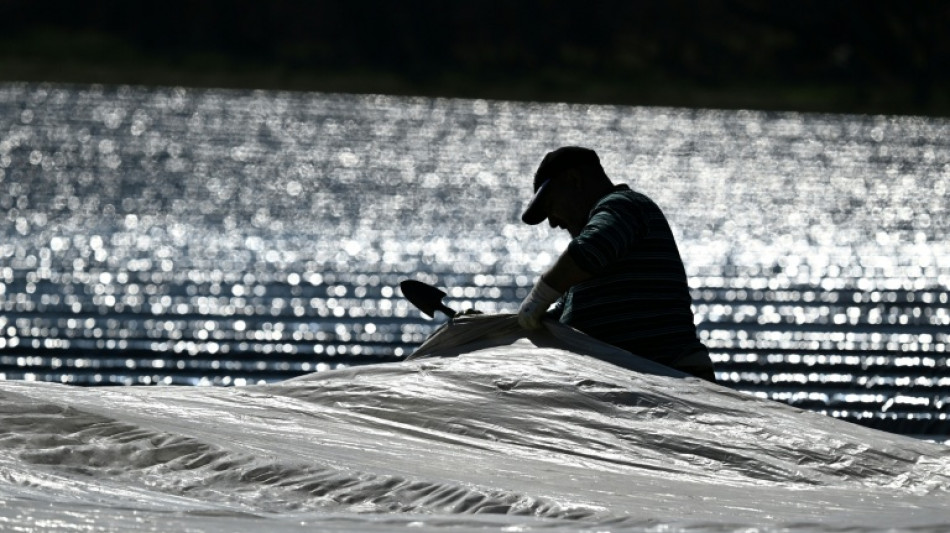 Hitzeschutz: Linken-Chef fordert kürzere Arbeitszeiten bei hohen Temperaturen
