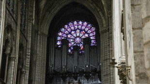 El "despertar" del órgano, una de las etapas de la reapertura de Notre Dame