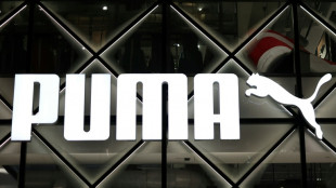 Chinesischer Sportartikelhersteller will gr&ouml;&szlig;ter Anteilseigner bei Puma werden