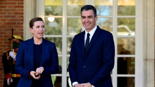 Spanien und D&auml;nemark gegen Einstufung von Gas und Atomkraft als nachhaltig