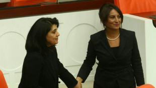 Menschenrechtsgericht verurteilt Türkei wegen Untersuchungshaft für Kurdin