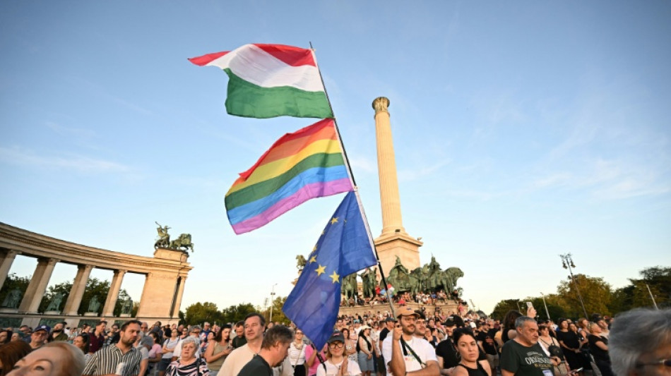 Tens of thousands rally against Hungary PM Orban's media spending