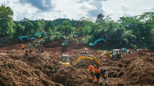 Indonésie: 18 morts dans des glissements de terrain, selon un nouveau bilan
