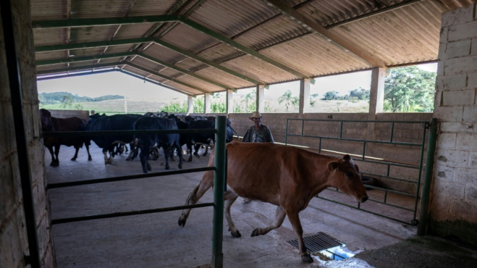 La economía brasileña crece en el tercer trimestre impulsada por el agro