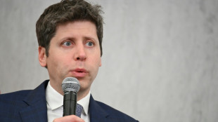 El director de OpenAI sugiere que los gobiernos construyan su propia infraestructura de IA