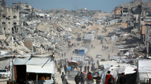 Council of Europe denounces 'deliberate starvation' in Gaza