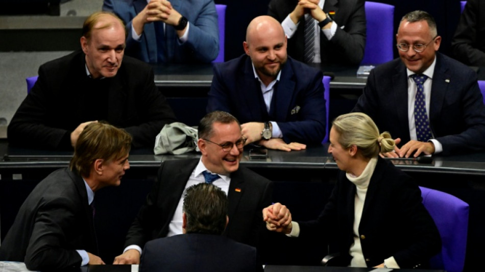 AfD-Abgeordnete reisen zu Gespr&auml;chen mit Trump-Partei in die USA