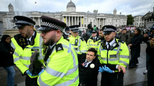 Royaume-Uni: la justice se penche sur l'interdiction critiquée d'un groupe propalestinien