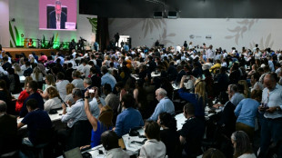 Verh&auml;rtete Fronten: Bei Weltklimakonferenz in Bel&eacute;m droht Ausgang ohne Vereinbarung