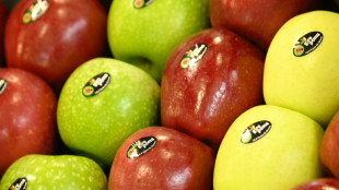 Schlechte Ernten: Lebensmittelindustrie warnt vor Engpässen besonders bei Obst