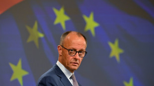 Merz hat "große Hoffnung" auf baldige Vereinbarung einer Waffenruhe in der Ukraine