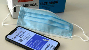 Pass vaccinal: le d&eacute;lai r&eacute;duit &agrave; 4 mois pour la dose de rappel au Journal officiel