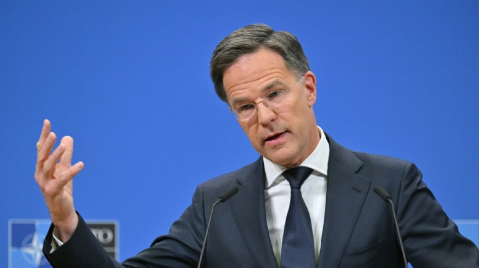 Rutte: Handelsstreit sollte nicht Diskussionen um Sicherheit beeinträchtigen